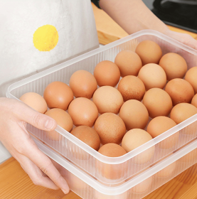 Deviled Egg Containers with Lid, (Set of 2),Stackable Plastic Egg Holder for 48 Eggs,Clear Egg Storage Holder for Fridge,Keep Fresh,Easter